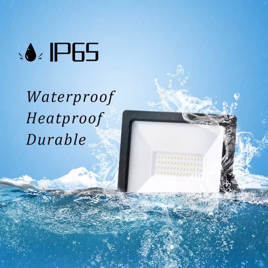Avec CE RoHS haute puissance Super luminosité 20W LED Tunnel lumière extérieure projecteur étanche